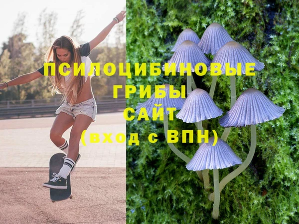 мефедрон мука Заводоуковск